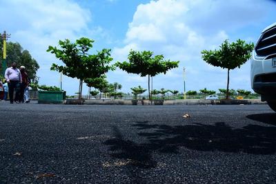 Project Image of 900.0 - 2400.0 Sq.ft Residential Plot Plot for buy in SKH Echium Phase 1