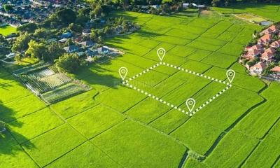 Project Image of 1500.0 - 2500.0 Sq.ft Residential Plot Plot for buy in Godrej Verdania Estates