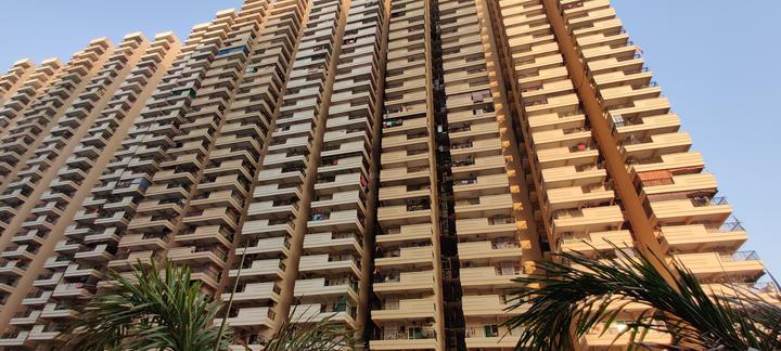 Gaurs Siddhartham - Image 4