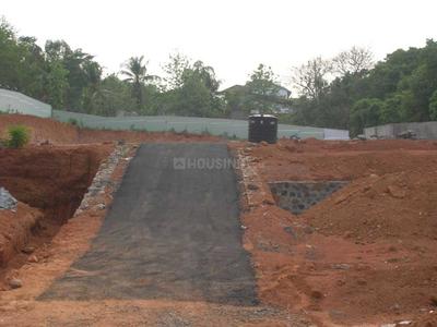 Project Image of 1742.0 - 10018.0 Sq.ft Residential Plot Plot for buy in Jewel Bloomingdale