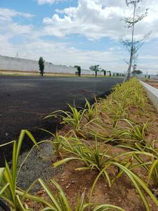 Project Image of 595.0 - 3864.61 Sq.ft Residential Plot Plot for buy in Maniway City