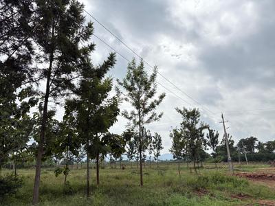 Project Image of 6000.0 - 12000.0 Sq.ft Residential Plot Plot for buy in Navile Farms 