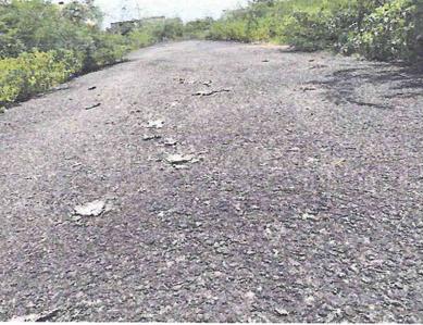 Project Image of 999.97 - 4199.97 Sq.ft Residential Plot Plot for buy in OM Shakthy Kanopus A
