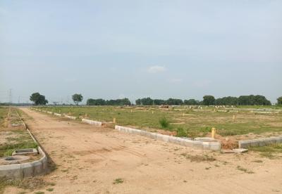 Project Image of 1503.0 - 4500.0 Sq.ft Residential Plot Plot for buy in Green Meadows