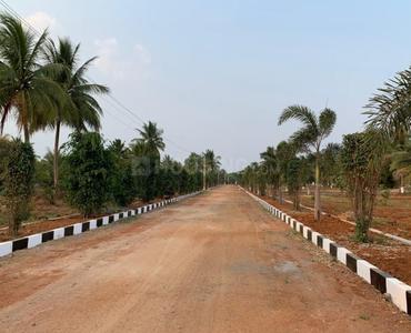 Project Image of 899.97 - 8999.92 Sq.ft Residential Plot Plot for buy in Dharuka Dhatri Vanam