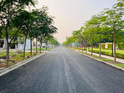 Project Image of 1076.39 - 2152.78 Sq.ft Residential Plot Plot for buy in Sapphire Royale Extension