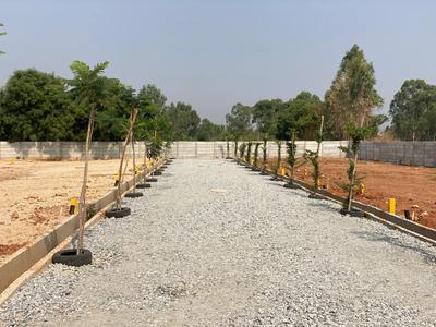 Project Image of 800.0 - 1600.0 Sq.ft Residential Plot Plot for buy in Sushamana Sai East Mango Meadows