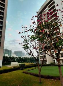 Project Image of 1785.0 - 3150.0 Sq.ft 3 BHK Apartment for buy in Chintels Paradiso