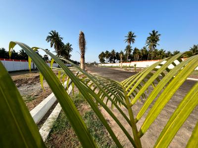 Project Image of 435.0 - 4036.0 Sq.ft Residential Plot Plot for buy in Platina City