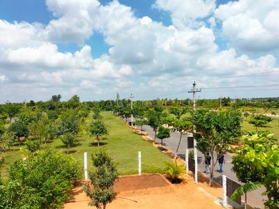 True The Orchard Others 1