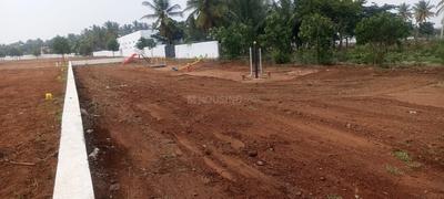 Project Image of 2358.0 - 4008.0 Sq.ft Residential Plot Plot for buy in Daisy Garden