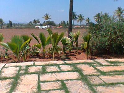 Project Image of 1108.0 - 2400.0 Sq.ft Residential Plot Plot for buy in Shriram Godhuli