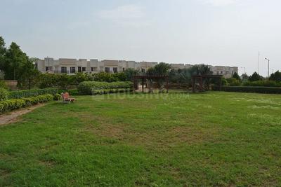 Gallery Cover Pic of Terra City