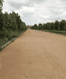 Project Image of 860.36 - 2888.06 Sq.ft Residential Plot Plot for buy in Shriram Chirping Ridge Phase 2