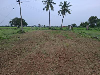 Project Image of 421.0 - 1461.0 Sq.ft Residential Plot Plot for buy in Superr Dhakshinamurthy Nagar