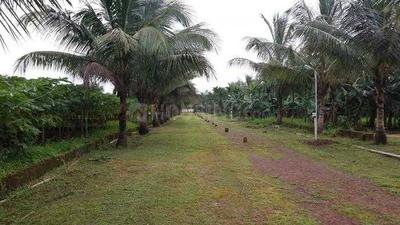 Ekaant Forest Homes Elevation 1