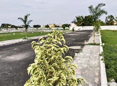 Project Image of 600.0 - 1540.0 Sq.ft Residential Plot Plot for buy in SS Thendral Enclave