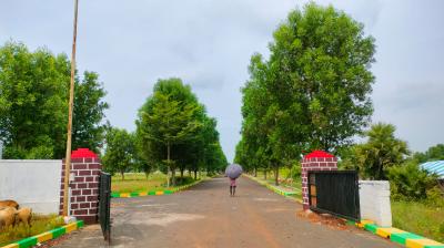 Project Image of 1503.0 - 4500.0 Sq.ft Residential Plot Plot for buy in Subhagruha Sukrithi Saanvi