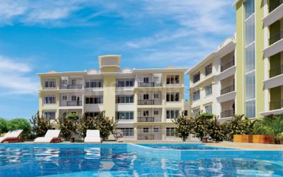 Classic Elite Square Swimming Pool 1