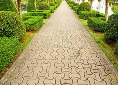 Project Image of 534.0 - 1258.0 Sq.ft 1 BHK Villa for buy in Serene Hub Senior Living