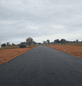 Project Images