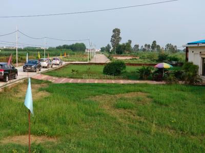 Project Image of 548.0 - 3548.0 Sq.ft Residential Plot Plot for buy in Pride Avenue Haridwar