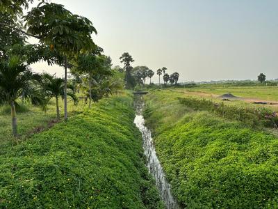 Project Image of 1980.0 - 3600.0 Sq.ft Residential Plot Plot for buy in Sri Rajeswari Dwaraka