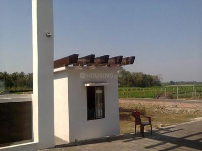 Project Images
