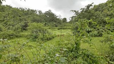 Project Image of 1000.0 - 3000.0 Sq.ft Residential Plot Plot for buy in Bhoomi Plots In Pali