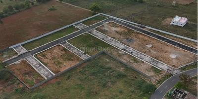 Project Images