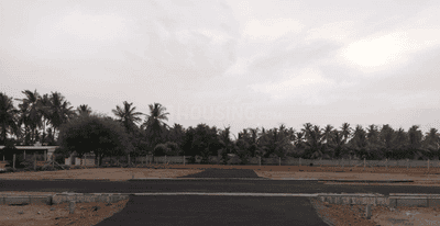 Project Images