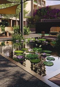 Project Image of 646.27 - 861.87 Sq.ft 2 BHK Apartment for buy in Sanvicasa Saharsh