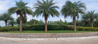 Project Image of 2900 Sq.ft 3 BHK Villa for sale in Adibatla for Rs. 13900000