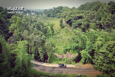 Project Image of 1700.0 - 7087.0 Sq.ft Residential Plot Plot for buy in Blissful Hills