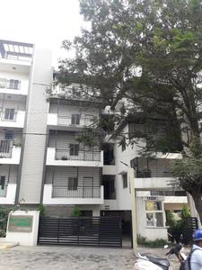 Deccan Greens 20181124_144039 - Gajendra A.jpg 1