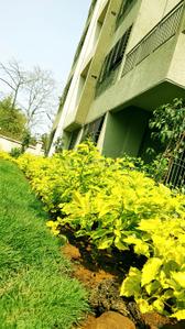 Project Image of 373.83 - 616.66 Sq.ft 1 BHK Apartment for buy in Grow Riverside Greens