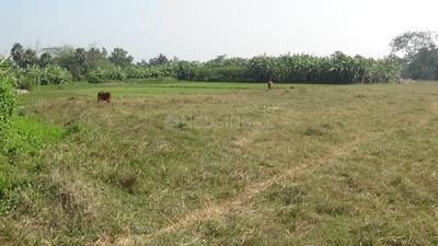 Project Image of 720.0 - 2160.0 Sq.ft Residential Plot Plot for buy in Twinrock Sharnabhumi