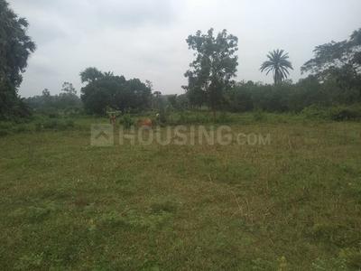 Mahamumbai Plots In Sarde Plot 2