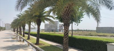Project Image of 1000.0 - 3200.0 Sq.ft Residential Plot Plot for buy in Swastik Green Park