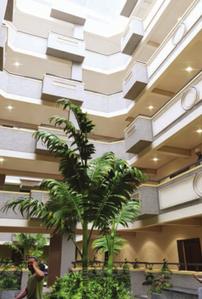 Project Image of 1412.65 - 1460.45 Sq.ft 2 BHK Apartment for buy in Oxina Elysian