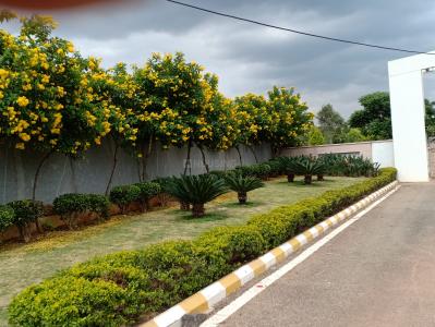 Project Image of 1016.11 - 1236.02 Sq.ft Residential Plot Plot for buy in Reliaable E City Plan Phase 3