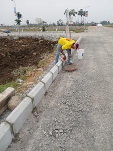 Project Image of 1125.0 - 2997.0 Sq.ft Residential Plot Plot for buy in Bhavishya Raaga