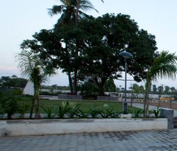 Project Image of 968.0 - 980.0 Sq.ft 2 BHK Apartment for buy in DABC Orchid