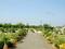 Bhashyam Pioneer County Landscape Garden and Tree Planting 1