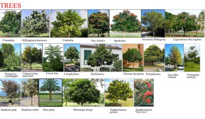 Project Image of 1565.0 - 3060.0 Sq.ft Residential Plot Plot for buy in Lavanya Cosmos