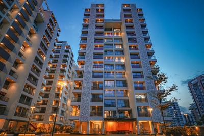 Shreepad Infinia Elevation 2