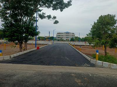 TVH Bloom Internal Roads 1