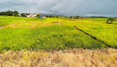 Capstone Land Plots in Ulwe Plot 1