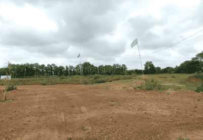 Project Images