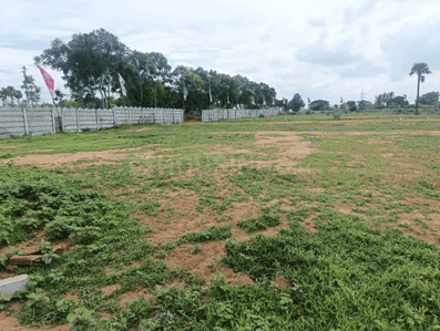 Project Image of 1440.0 - 3150.0 Sq.ft Residential Plot Plot for buy in Divi My Space 2